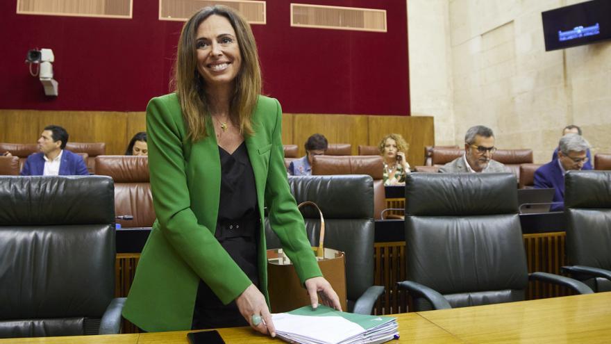 La consejera de Fomento y Articulación del Territorio de la Junta de Andalucía, Rocío Díaz.
