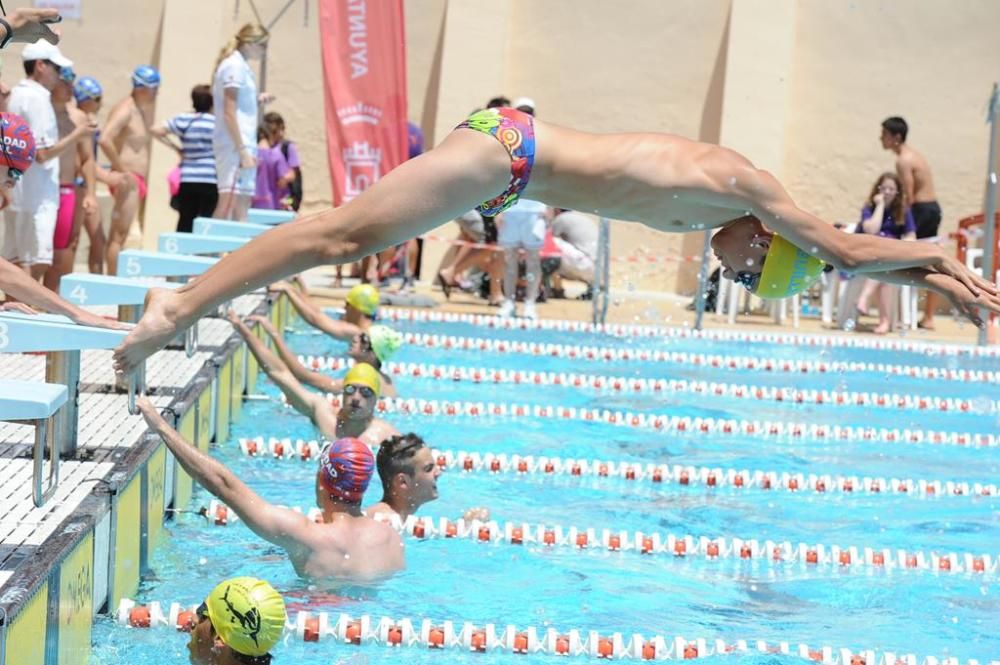 Trofeo Ciudad de Murcia