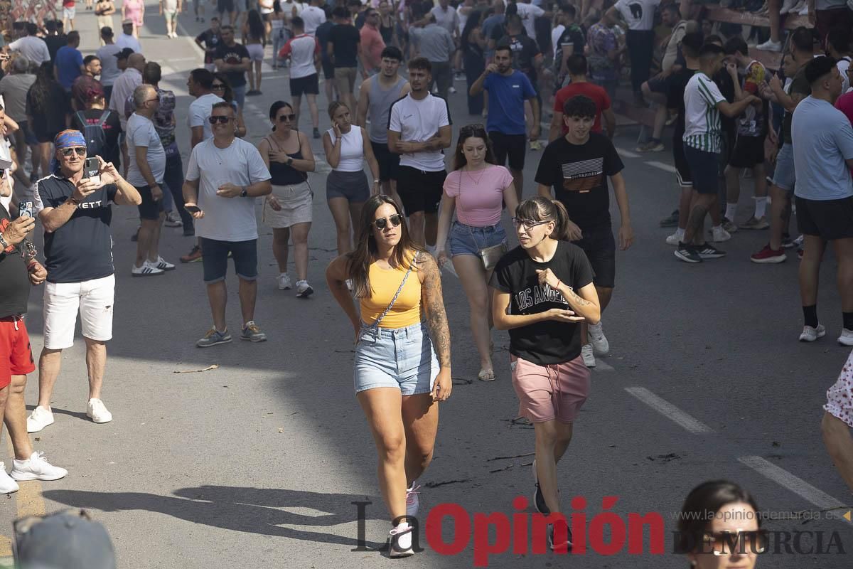 El segundo encierro de las Fiestas de Moratalla se salda con un herido