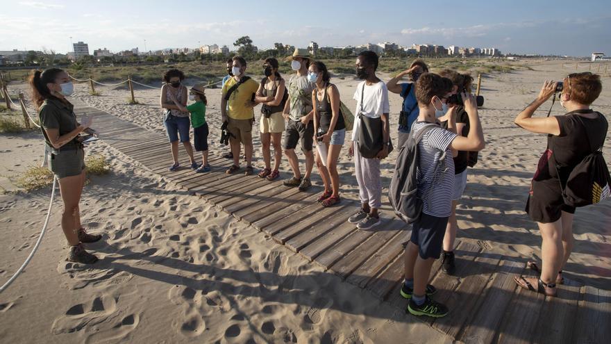 Una campaña en la playa del Port da a conocer al chorlitejo patinegro