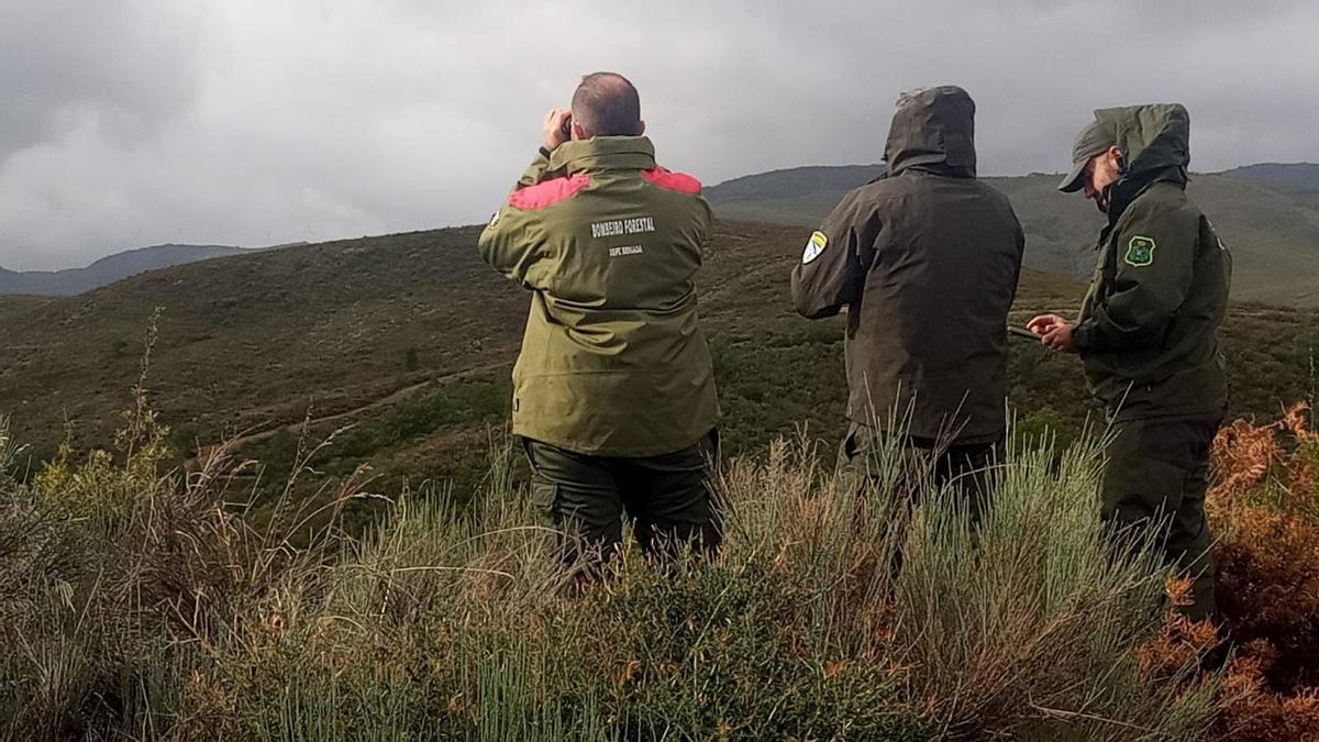 Agentes ambientales y bomberos forestales colaboraron en el operativo de búsqueda.