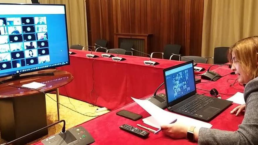 L&#039;alcaldessa de Figueres, durant una videoconferència