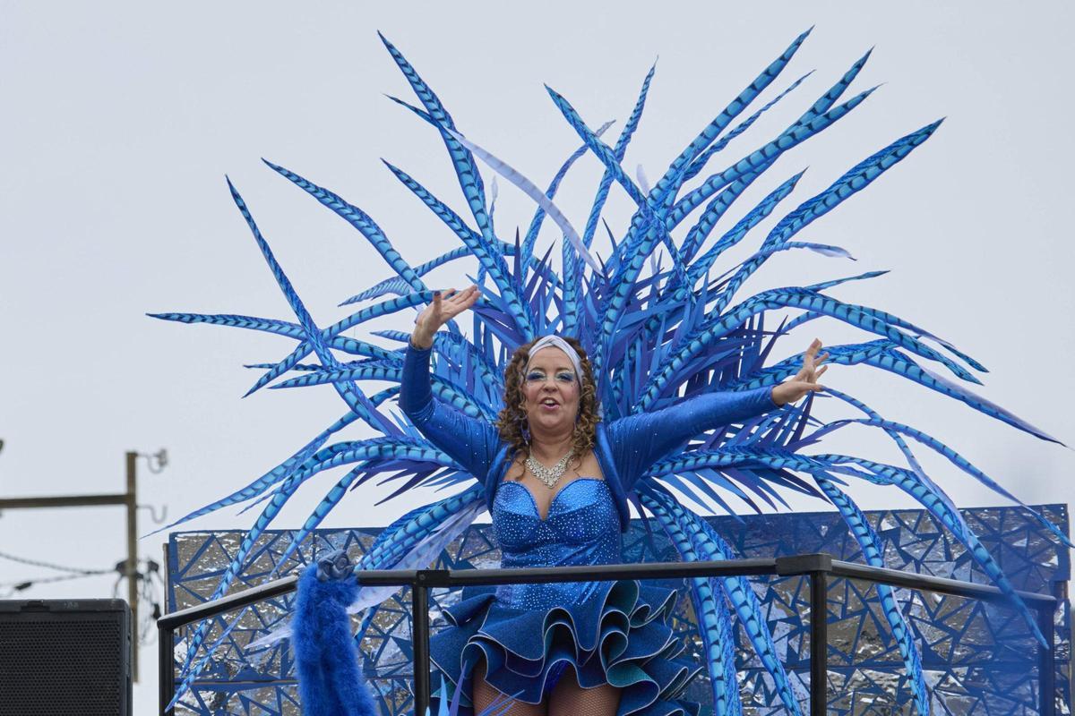 La rua del Carnaval de Santa Cristina d'Aro en imatges La rua del Carnaval de Santa Cristina d'Aro en imatges