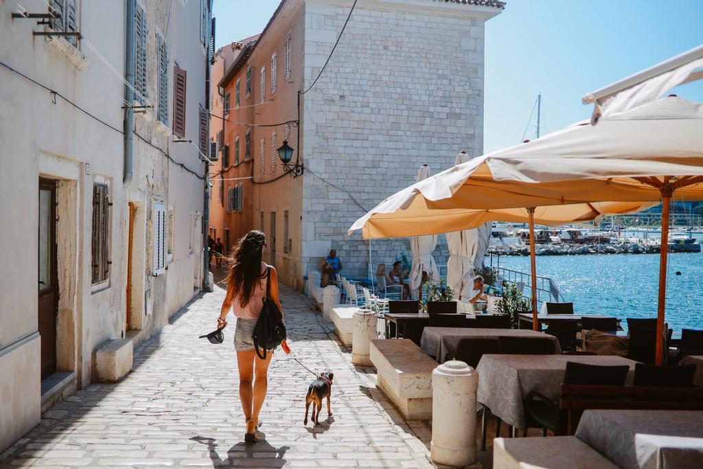 Alemania es considerado el mejor destino para viajar con perros.