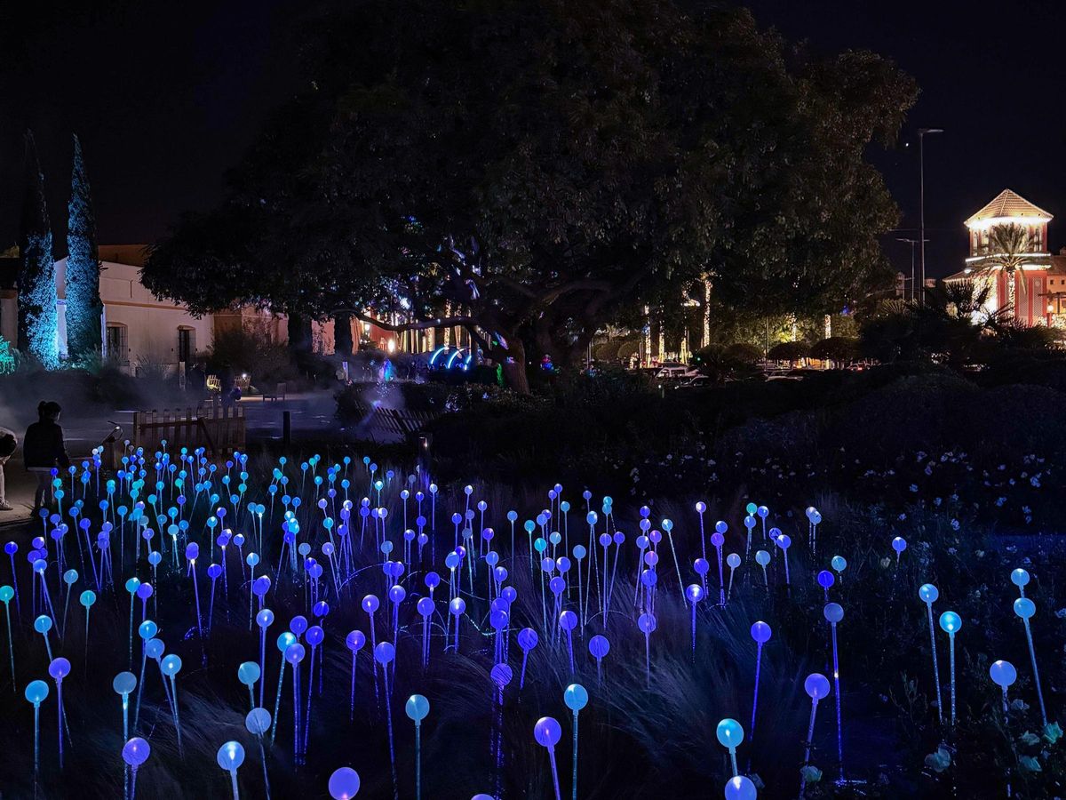Plaza Mayor da la bienvenida a la Navidad con varias novedades, como los Jardines Encantados