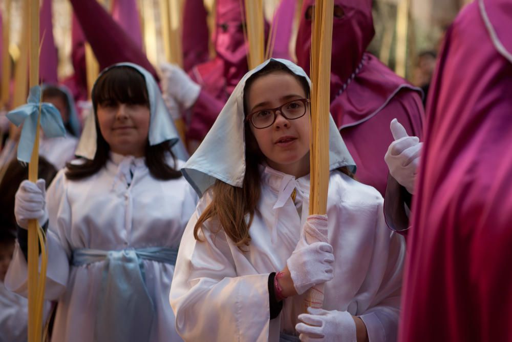 Procesión de La Borriquita