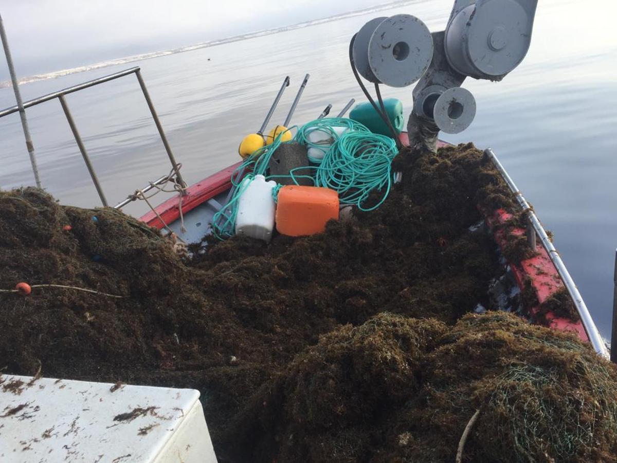 Los barcos de la flota artesanal y de arrastre han visto caer en picado sus capturas los últimos cinco años por este alga invasora.