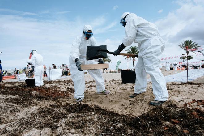 Así ha sido el simulacro contra la contaminación marina en Palma