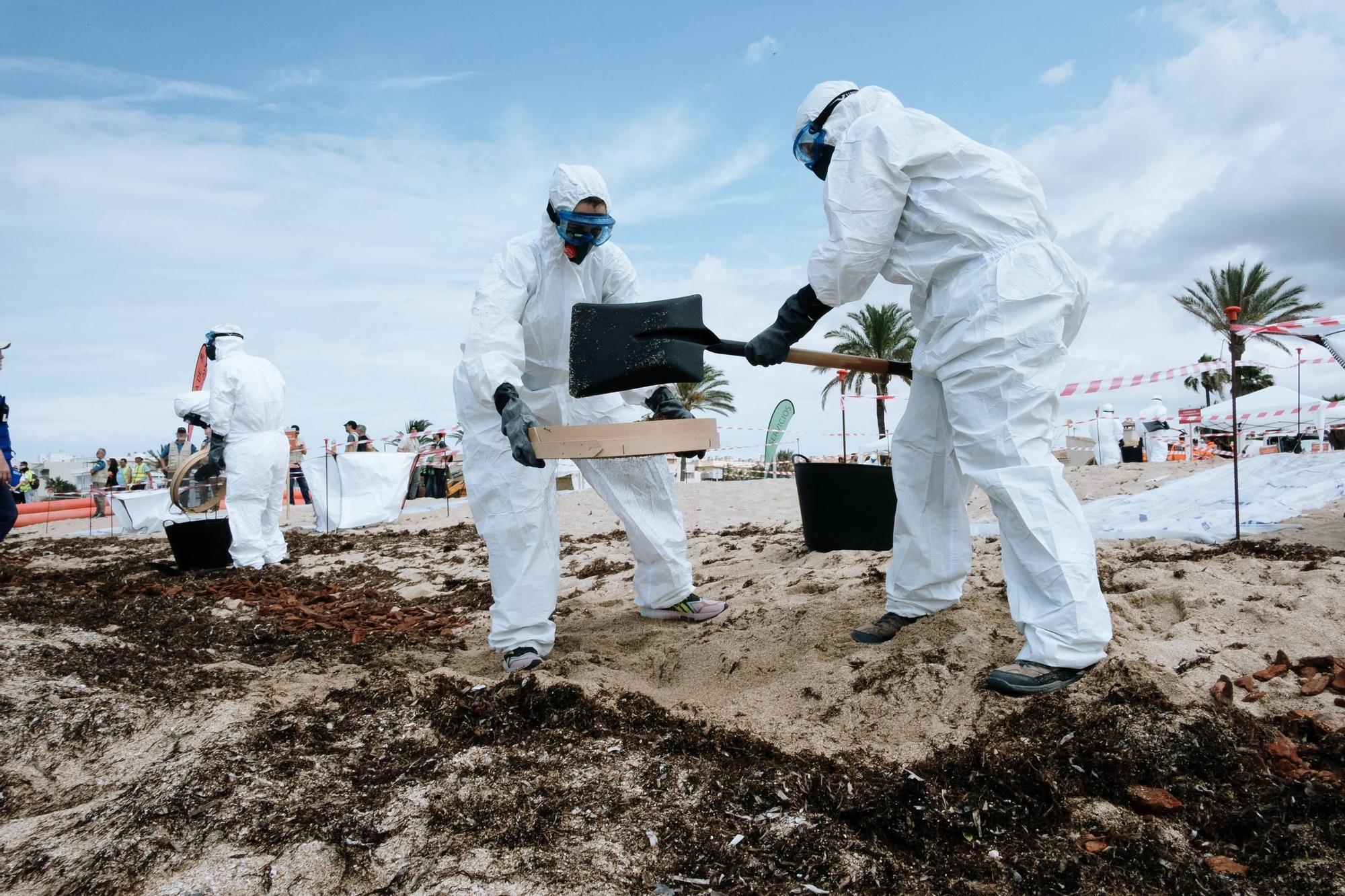 Así ha sido el simulacro contra la contaminación marina en Palma