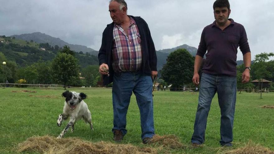 Juanito Gutiérrez y Antonio Rosete, con el perro &quot;Zar&quot;, antes del comienzo del rastreo de codorniz en Arriondas.