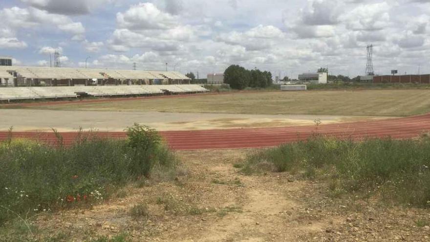 Estado del césped del campo de fútbol.