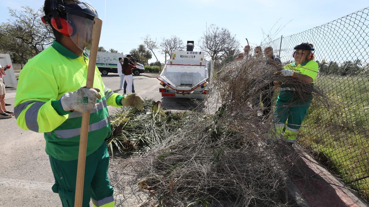 La brigada rural de Limpieza, Elche