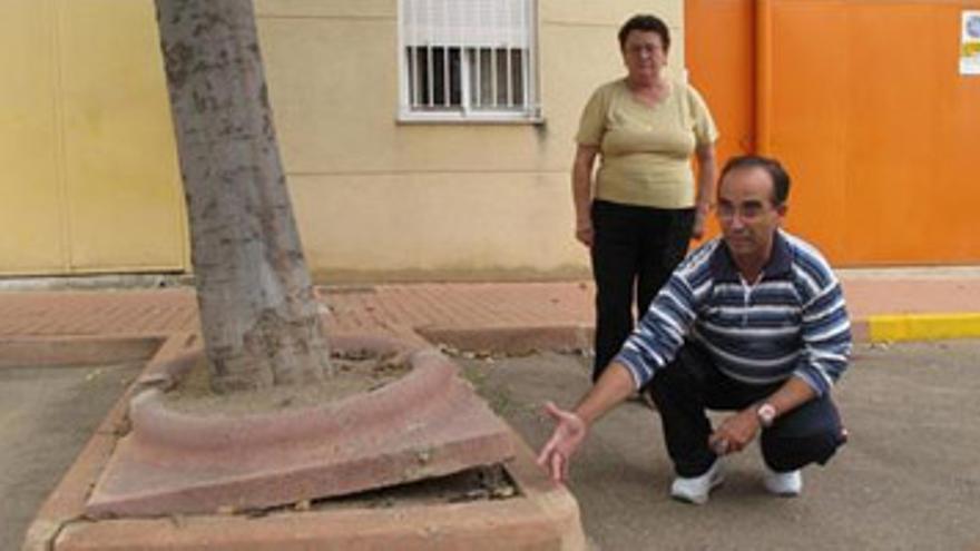 Nuevas quejas en el Cerro por los daños de las raíces de los árboles