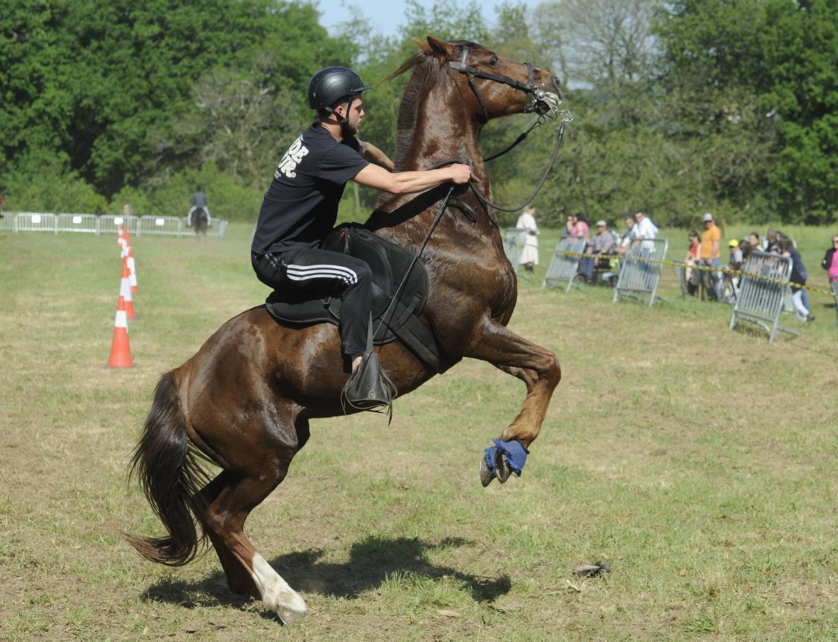 XXXVI Feira do Cabalo de Lalín, 2026
