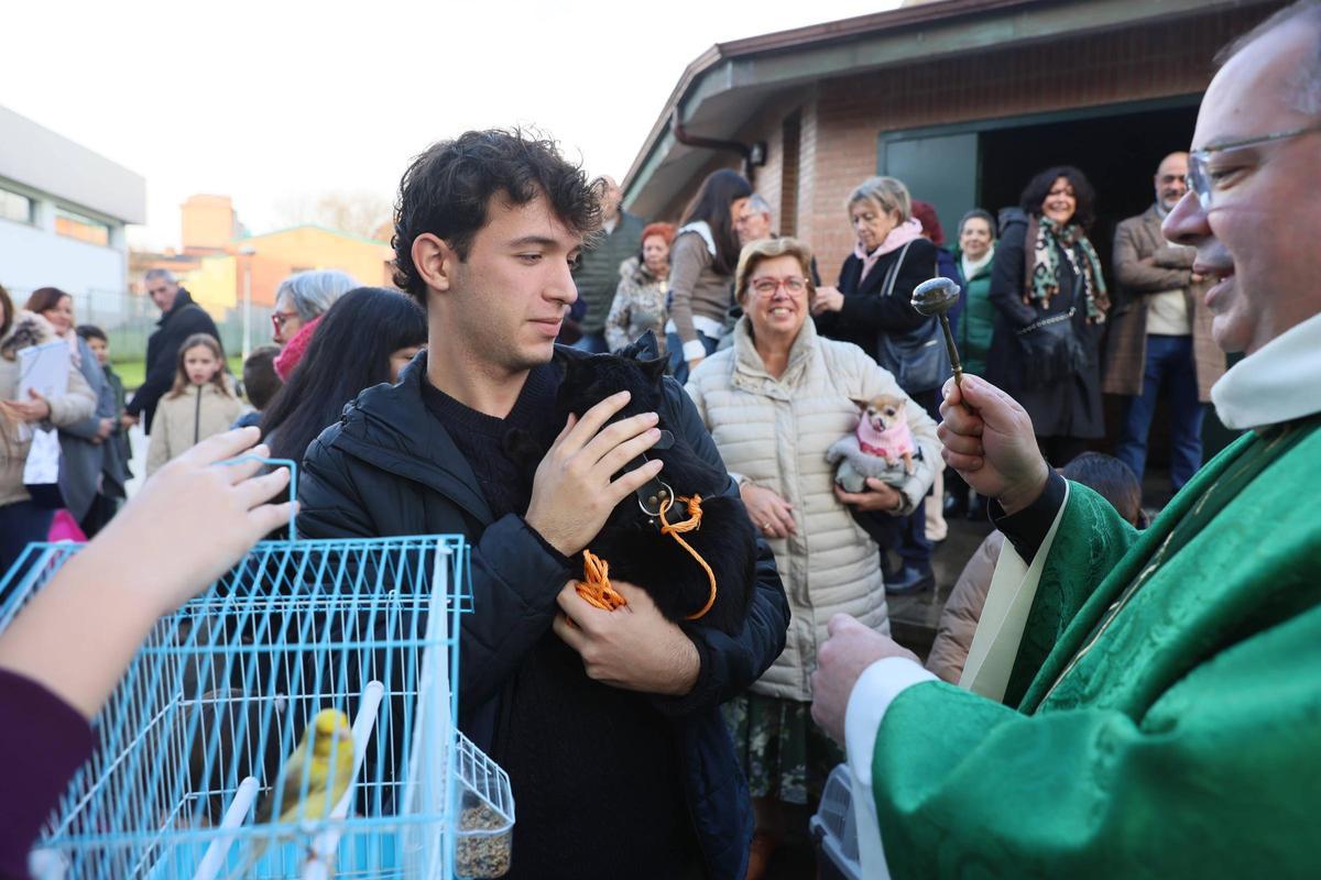 La bendición de animales en La Magdalena, en imágenes