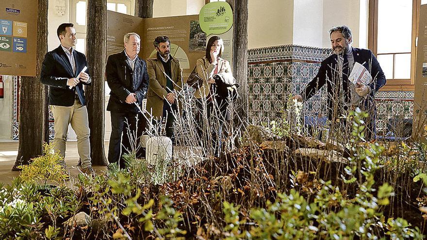 Por la izquierda, el director de Medio Natural del Principado, David Villar; el concejal gijonés Aurelio Martín; el consejero de Desarrollo Rural, Alejandro Calvo, y la viceconsejera de Medio Ambiente, Nieves Roqueñí, en la exposición.