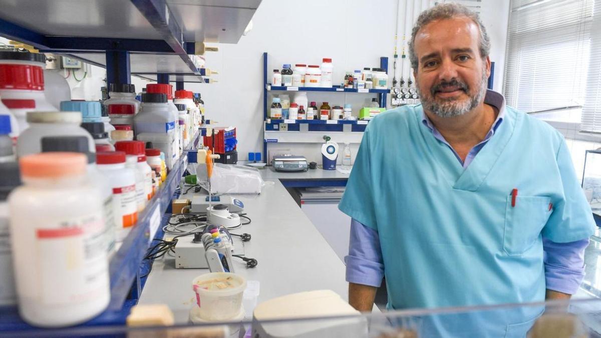 El catedrático Rafael Robaina, en su laboratorio de investigación en la Facultad de Ciencias del Mar de la ULPGC. | | JUAN CASTRO