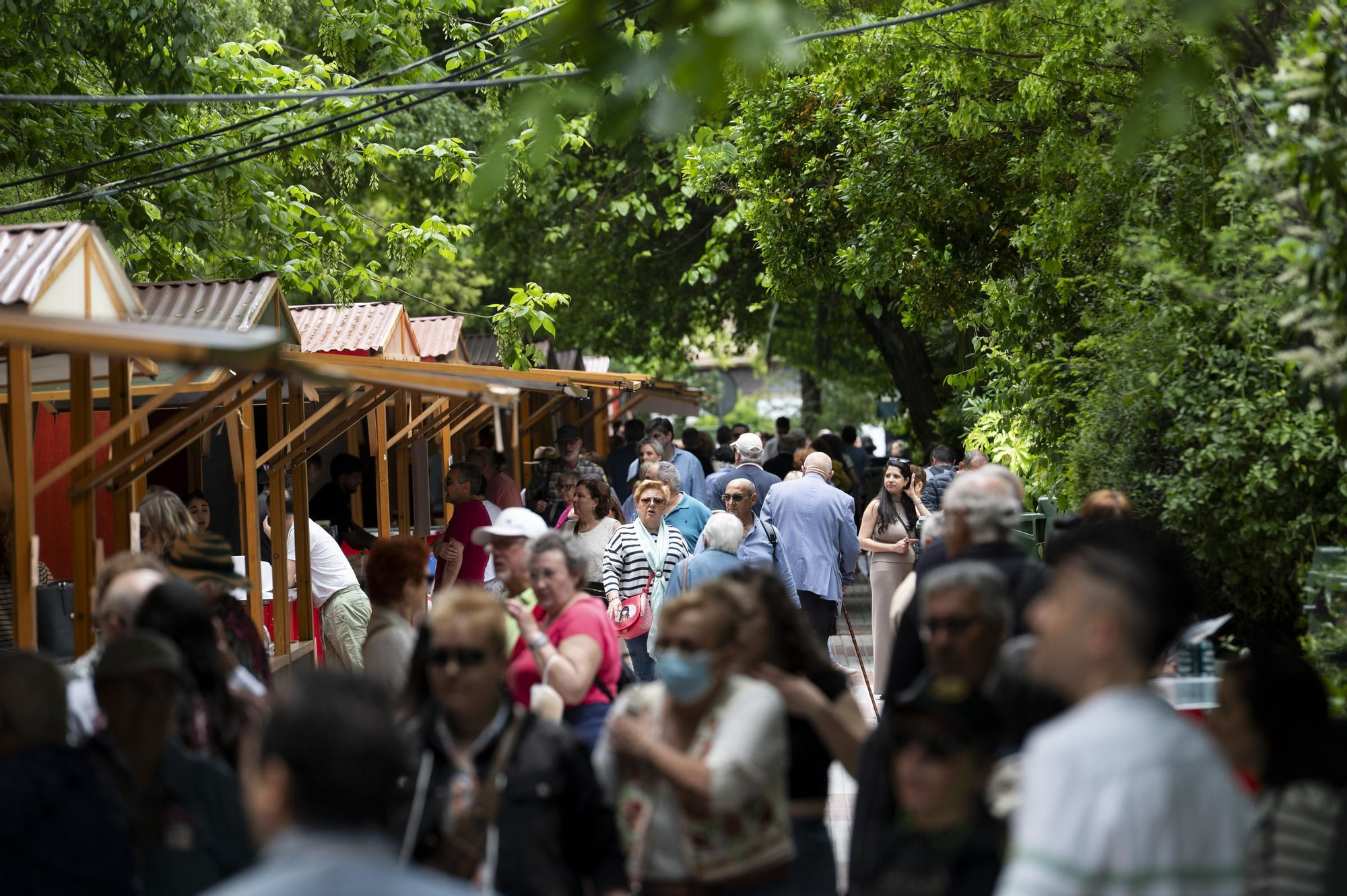FOTOGALERÍA | Extregusta ya se saborea en el Paseo de Cánovas de Cáceres