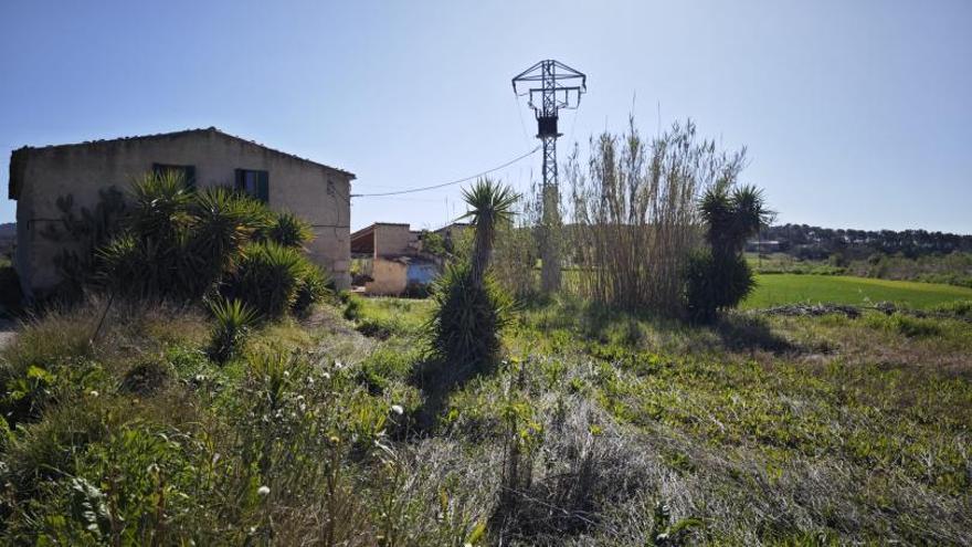 Finca situada entre Sant Joan y Petra donde se produjo la reyerta el lunes por la noche. | DM