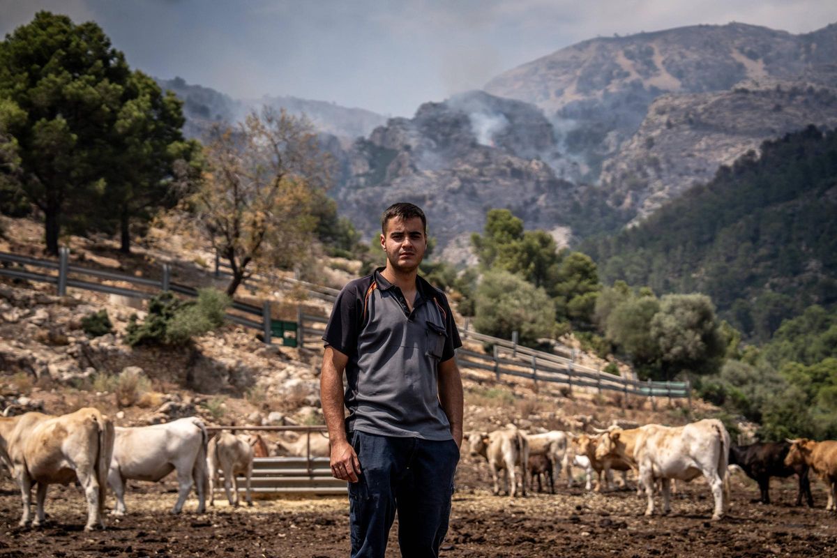 Dentro del incendio en Baix Ebre: los bomberos trabajan a contra reloj en el incendio forestal en Paüls