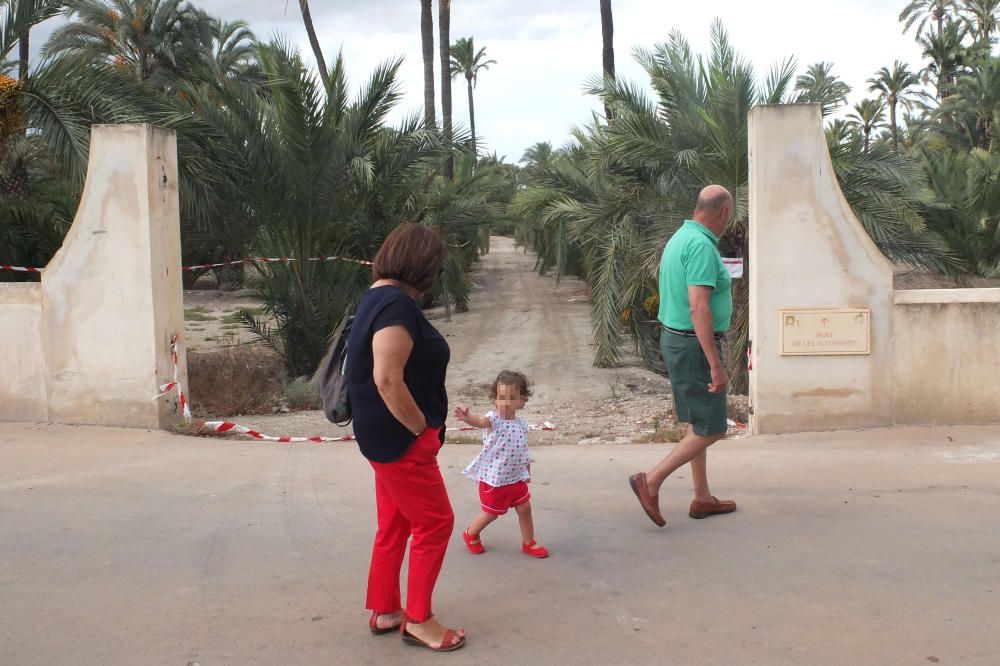 La ruta del Palmeral, abandonada