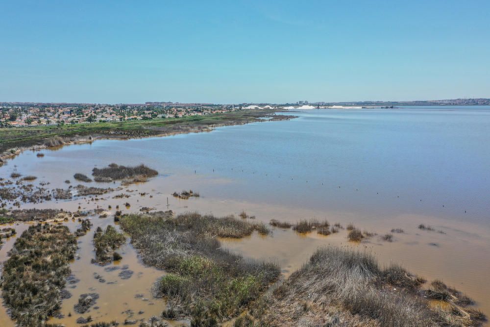 Las aguas de las salinas de Torrevieja perdieron el rosa en febrero. Normalmente es un cambio puntual. Pero este año a las puertas de verano siguen igual. Los episodios de lluvias torrenciales tienen