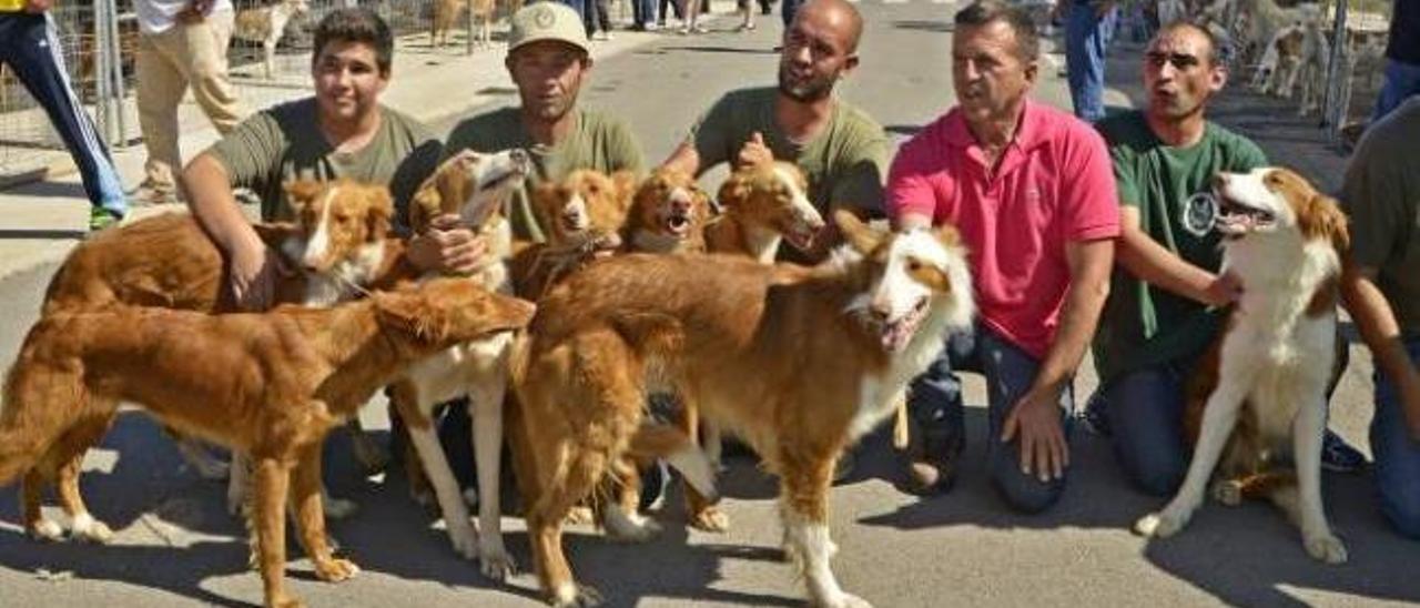 Al rescate del podenco autóctono