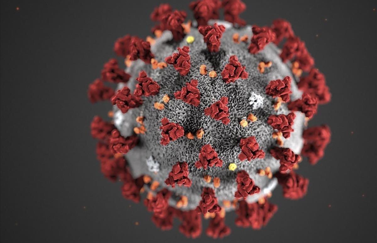 El coronavirus también ha aparecido en el semen, según investigadores de China.