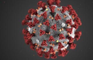 Dar positivo en un test de anticuerpos no asegura inmunidad frente al virus