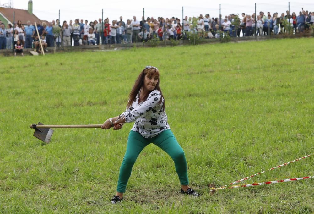 Lanzamiento de fesoria en San Cipriano de Pando