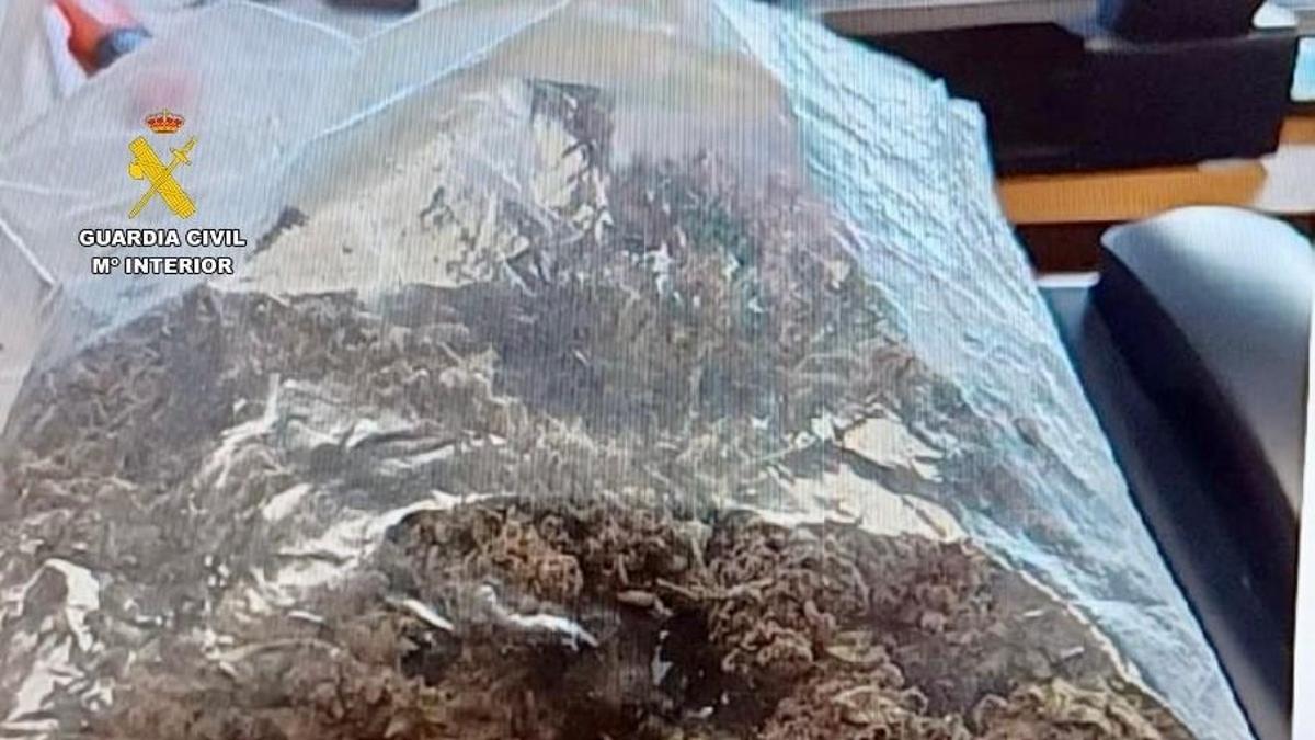 Bolsa con cogollos de marihuana sobre la báscula que muestra su peso.