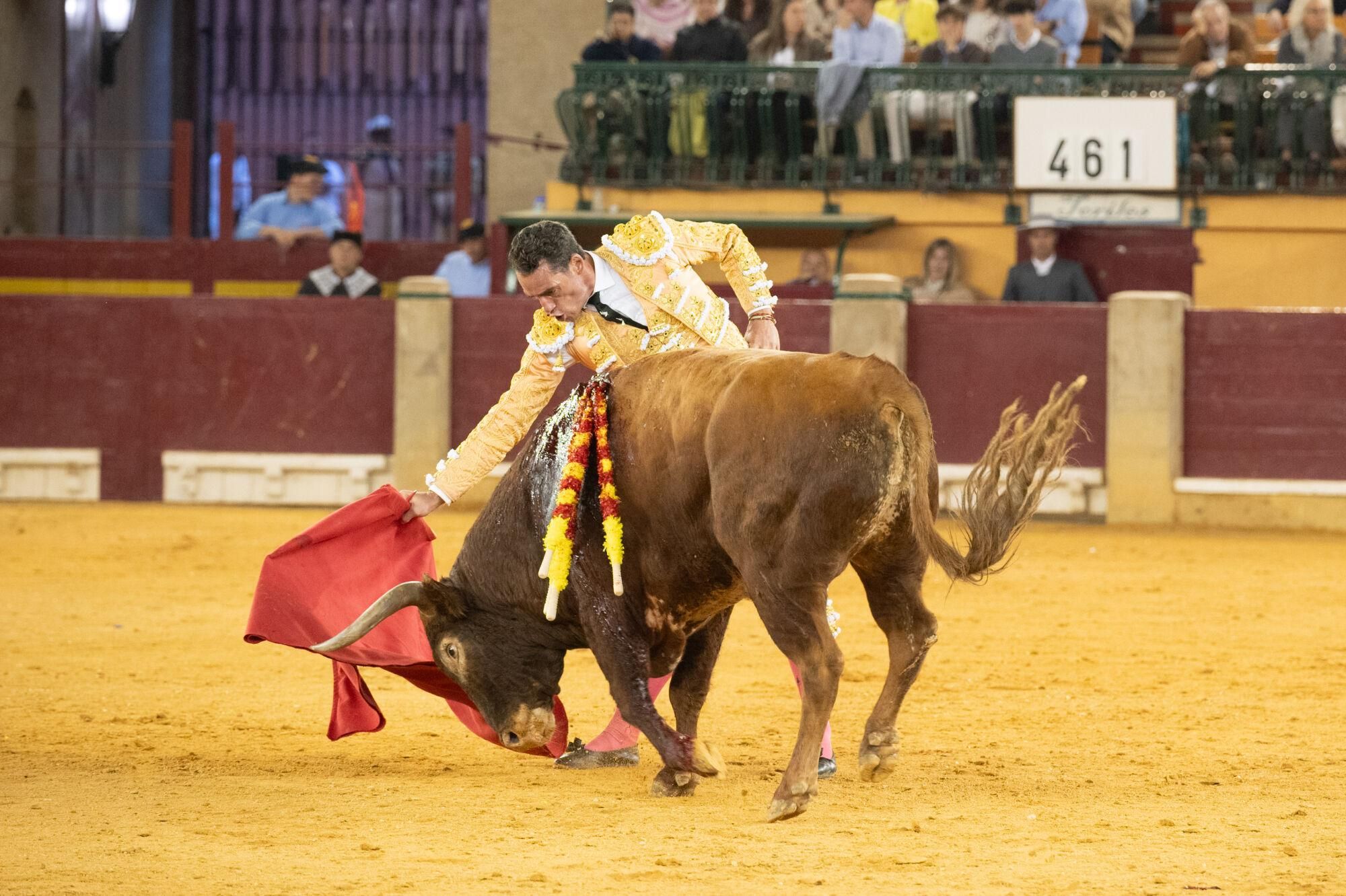 Concurso de ganaderías de la Feria del Pilar
