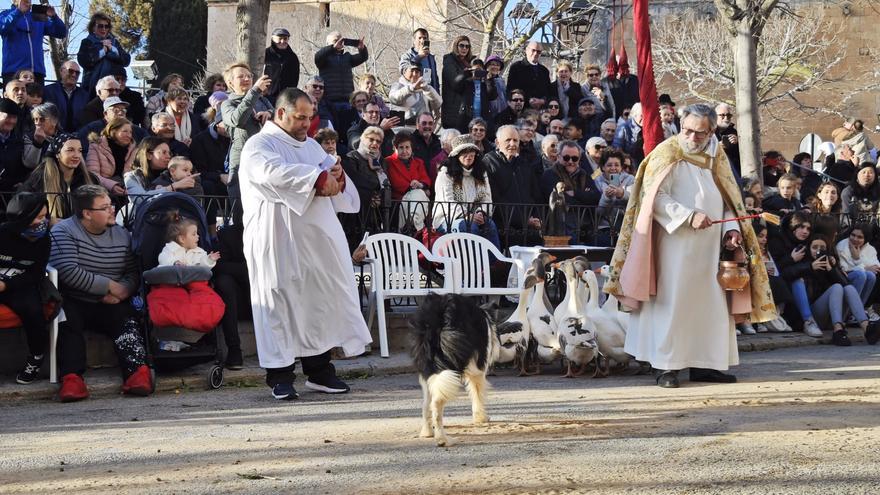 Muro presume de emblemáticas ‘beneïdes’ y carrozas reivindicativas