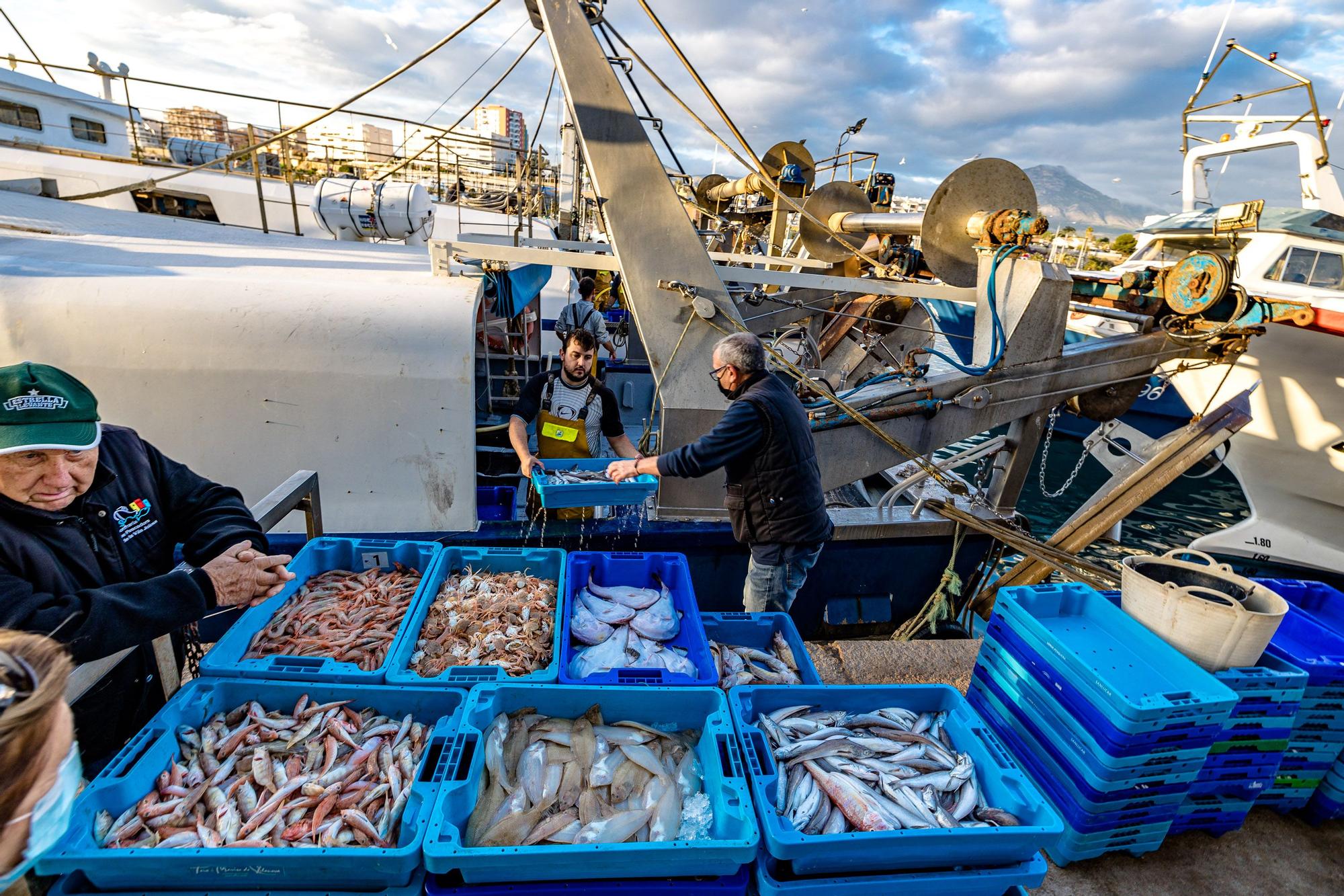 Pesca y Turismo en Villajoyosa