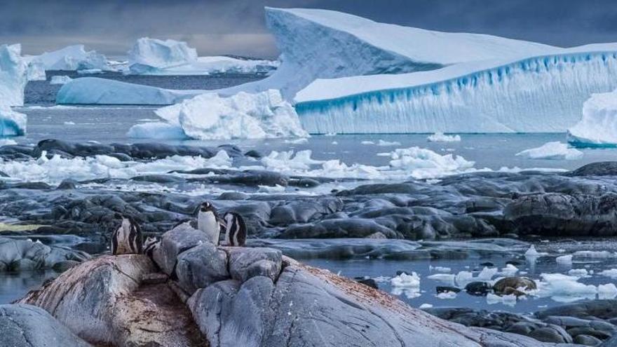 Movistar+ estrena dijous  a la nit «Antártida: un mensaje de otro planeta»