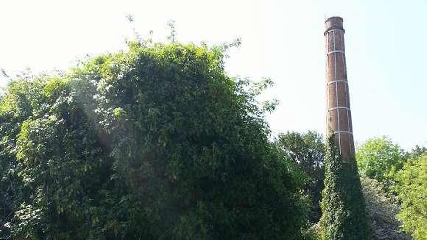 Chimenea de la antigua fábrica de curtidos de A Magdalena.