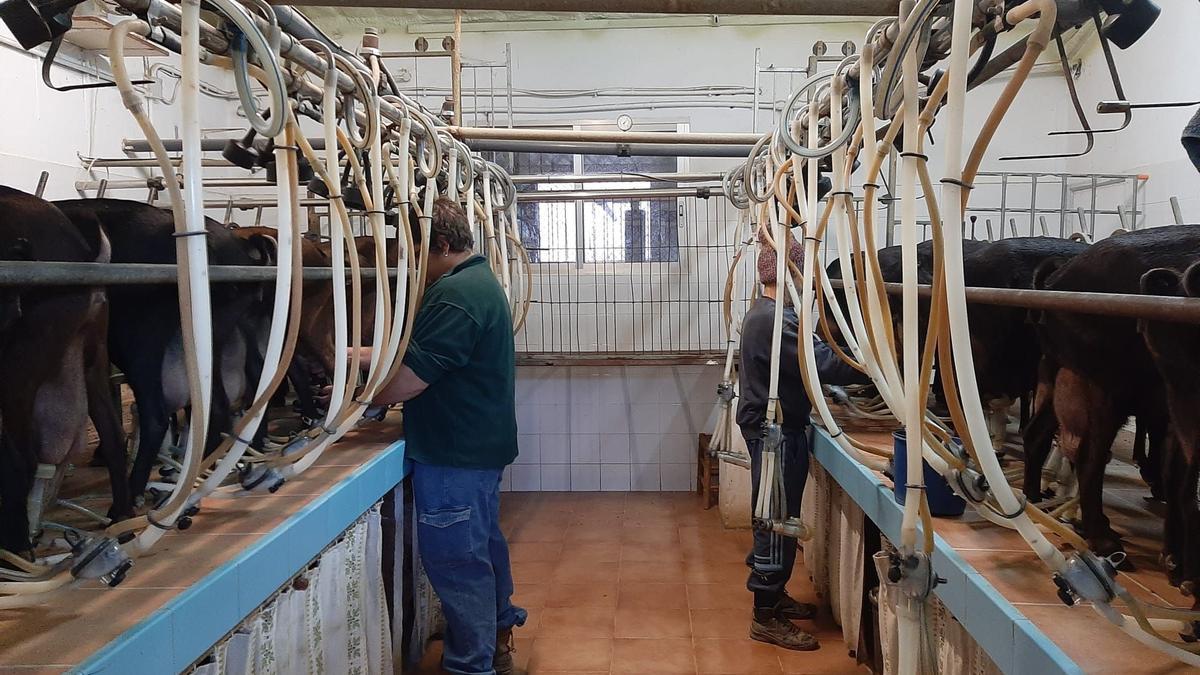 «La leche no tiene precio. Y elegimos crear nuestro queso», Marta Paulo.