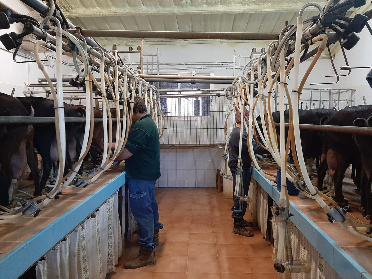 «La leche no tiene precio. Y elegimos crear nuestro queso»