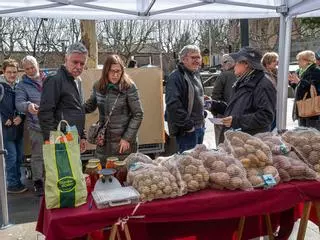 Un matí de primavera fa arrencar amb força la Fira del Trumfo i la Tòfona de Solsona