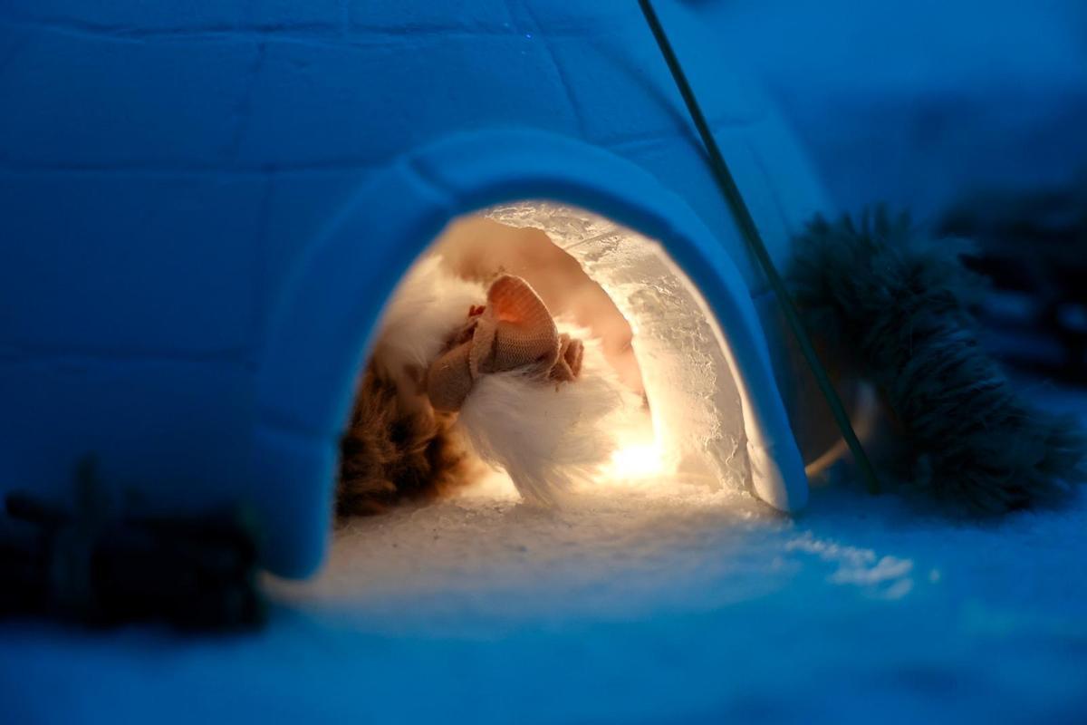 Santa María Micaela. 1º Libre Diseño B