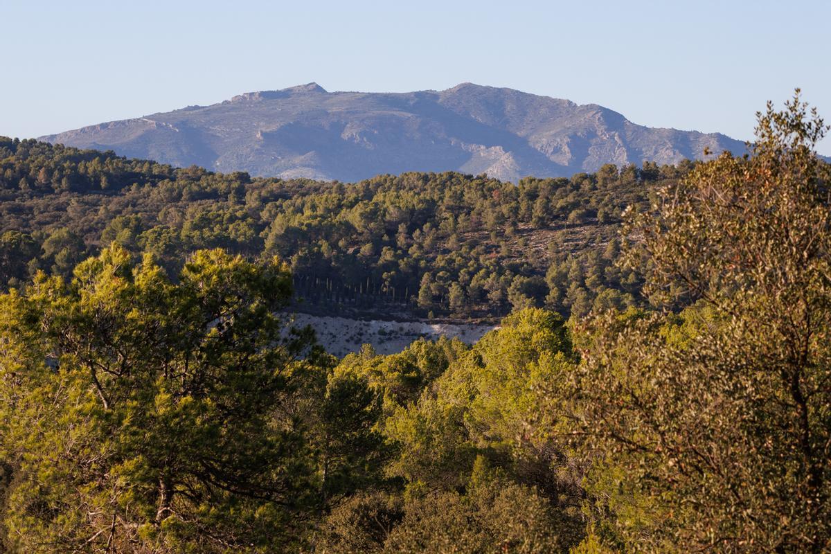 Paisaje con el parque natural de la Sierra de Mariola al fondo