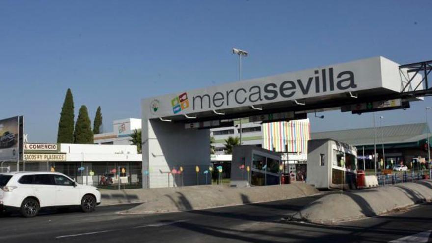 Imagen del acceso principal a Mercasevilla.