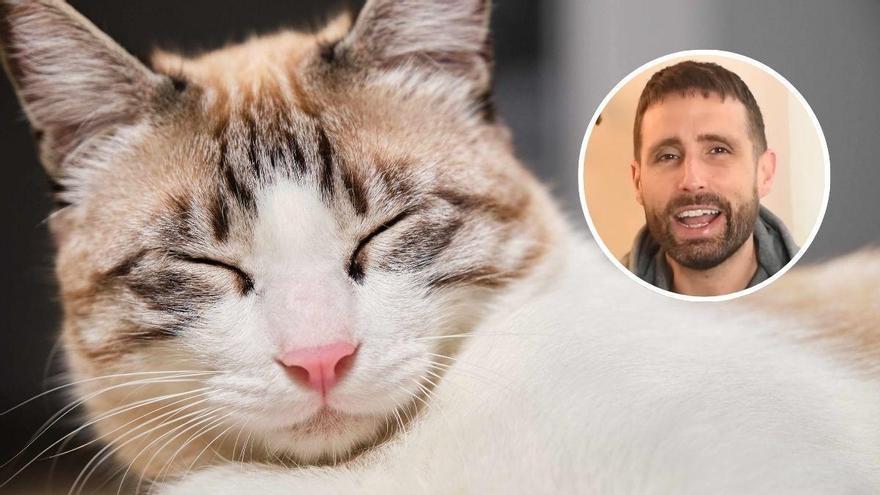 Carlos Gutiérrez, veterinario: “Nuestros gatos se parecen a nosotros y la ciencia lo confirma”