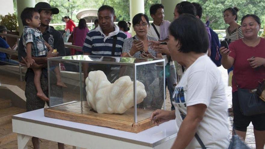 Varios ciudadanos observan una perla gigante.