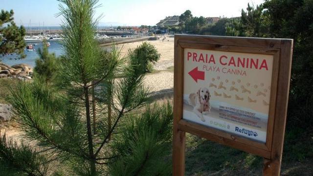 Acceso a una playa canina de O Grove. |   // FDV