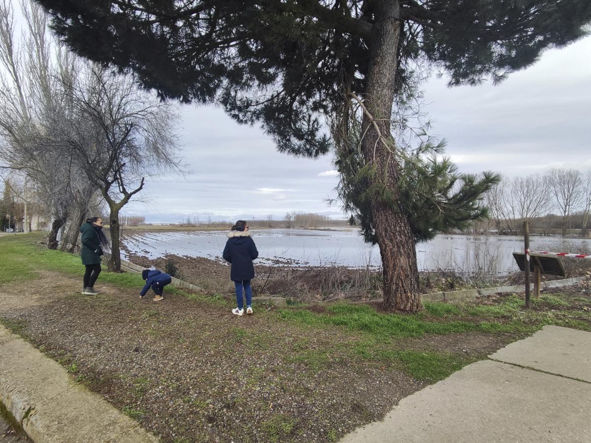 El Esla llegó a las puertas de Villanueva de Azoague y fue necesario achicarla al inundar las alcantarillas. Hoy la situación había mejorado.