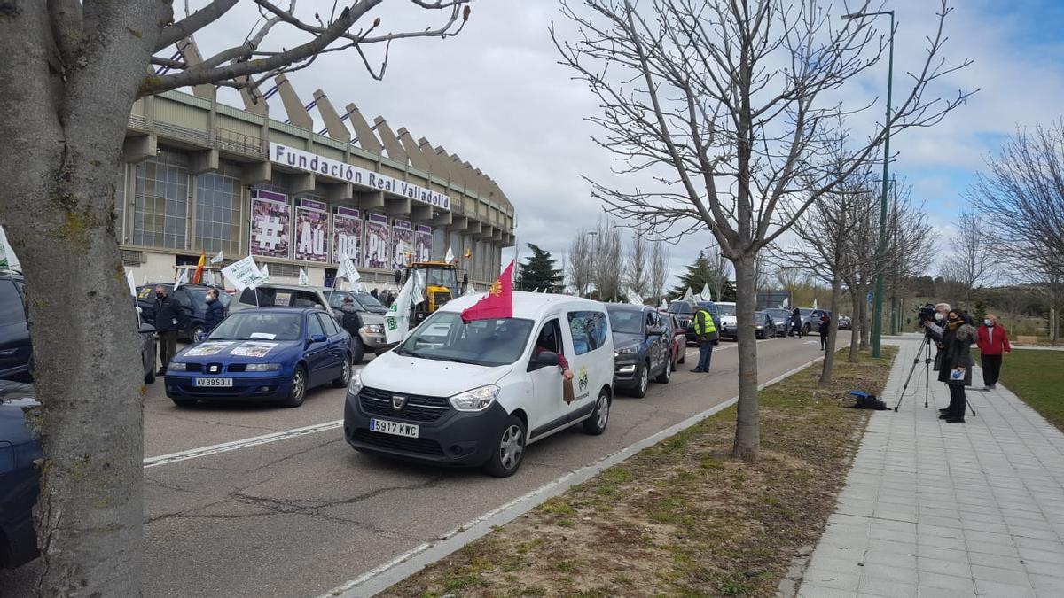 Manifestación en Valladolid contra el blindaje del lobo