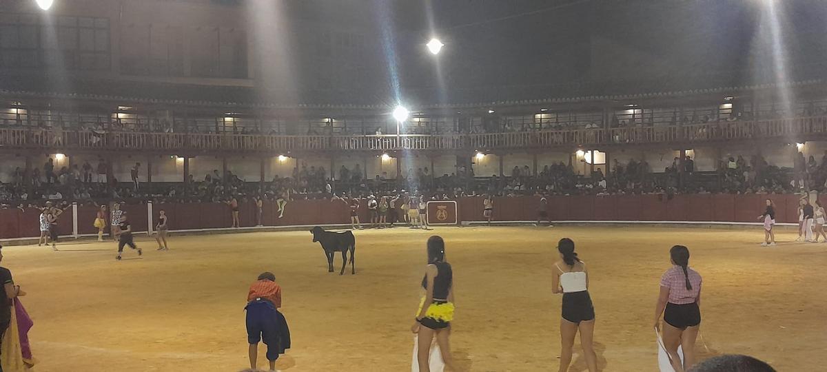 GALERÍA | La verbena taurina de las Fiestas de San Agustín de Toro, en imágenes GALERÍA | La verbena taurina de las Fiestas de San Agustín de Toro, en imágenes