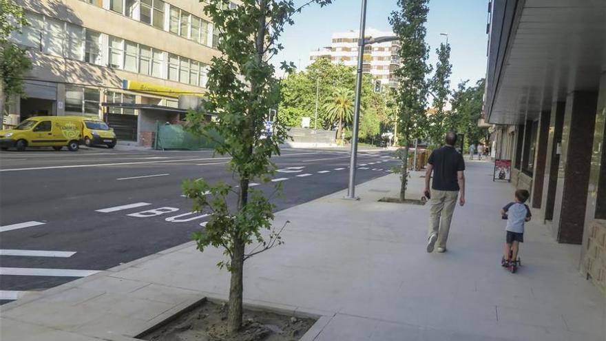 Plantan 18 árboles en la avenida Primo de Rivera de Cáceres