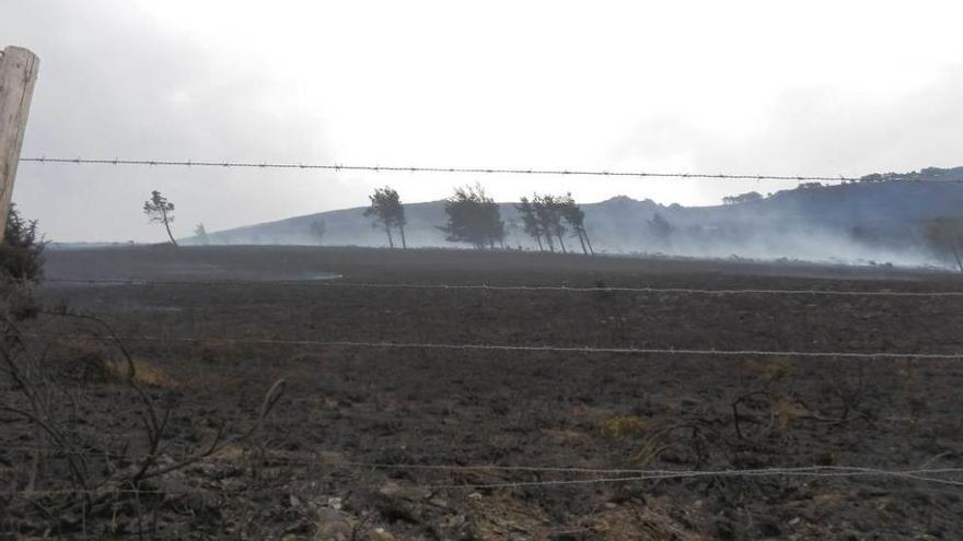El fuego de Vegadeo quema 100 hectáreas